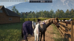 Unbridled: That Horse Game