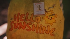 Анонсирован кооперативный выживач Hello Sunshine на руинах корпоративной империи Анонсирован кооперативный выживач Hello Sunshine на руинах корпоративной империи