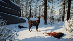 Another Try 2 � ����������� ��������� � �������� �������������������� ���� ���������� ���������