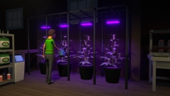 В Steam новый хит – кооперативный симулятор криминального барона Schedule I В Steam новый хит – кооперативный симулятор криминального барона Schedule I
