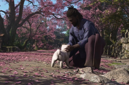    Assassin's Creed Shadows  