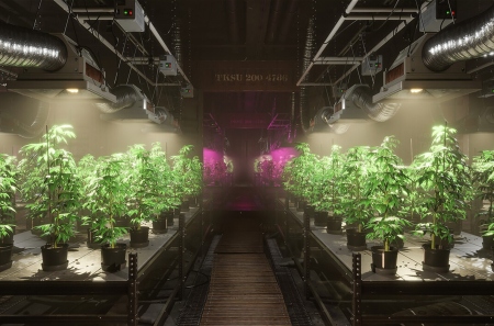 DRUG Schedule    Schedule I       