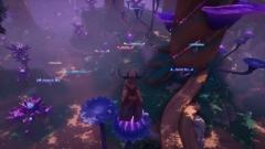    Palia    The Elderwood    