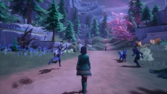    Palia    The Elderwood    