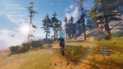 Lost Skies Lost Skies