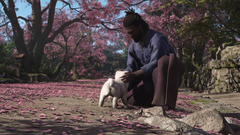    Assassin's Creed Shadows  