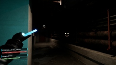 Backrooms: Extractions