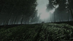 Where Winds Meet   RPG     