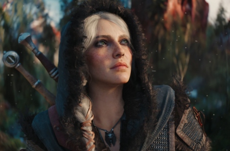 CDPR     The Witcher 4