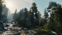 CDPR     The Witcher 4