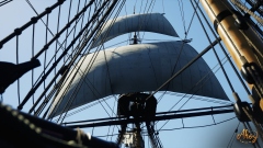 Ahoy       18- ,   -     