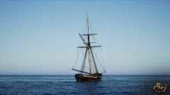 Ahoy       18- ,   -     