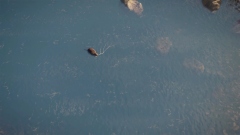 ������������� ��������� �������� theHunter: Call of the Wild ������� ���������� � ������� ��������� ��������