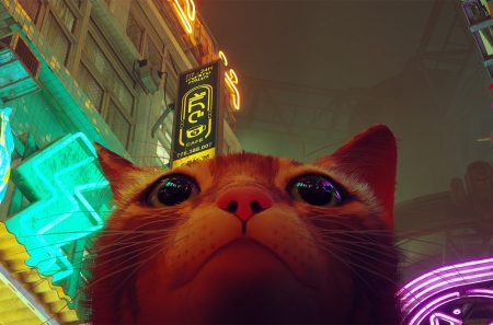 Valve представила улучшения для проигрывателя трейлеров в Steam