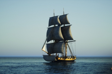 Многопользовательский морской экшен в историческом сеттинге Ahoy собрал 750 тысяч долларов всего за один месяц
