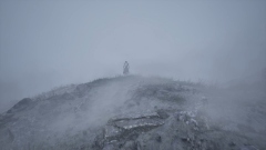 Wandaria   MMORPG   ,    