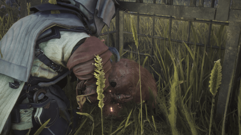 Не проходите мимо Soulframe. Разработчики Warframe создают лучший фэнтази-экшен этого десятилетия Не проходите мимо Soulframe. Разработчики Warframe создают лучший фэнтази-экшен этого десятилетия