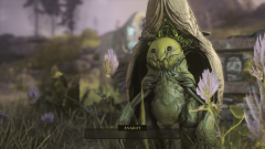 Не проходите мимо Soulframe. Разработчики Warframe создают лучший фэнтази-экшен этого десятилетия Не проходите мимо Soulframe. Разработчики Warframe создают лучший фэнтази-экшен этого десятилетия