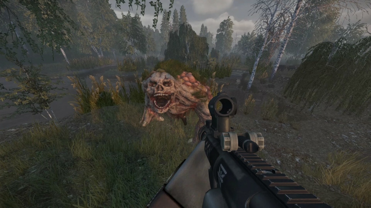   ,    Escape from Tarkov