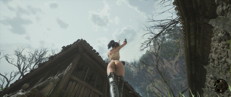  Steam    Wuchang: Fallen Feathers.    ,   