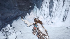  Sony   Tencent      Horizon