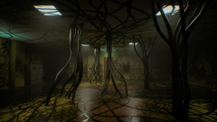 �� ������� ������� ����� ������������� ������ Backroom Company ��� ������������ �������������� �������