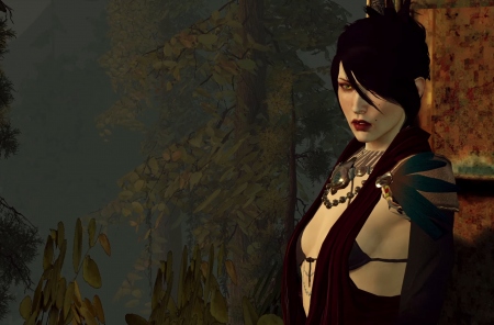 BioWare хотела перевыпустить трилогию Dragon Age. Electronic Arts идею забраковала