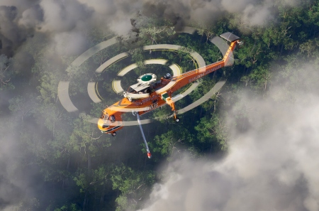 Для Microsoft Flight Simulator 2024 выйдет дополнение по мотивам фильмов серии «Мир юрского периода»