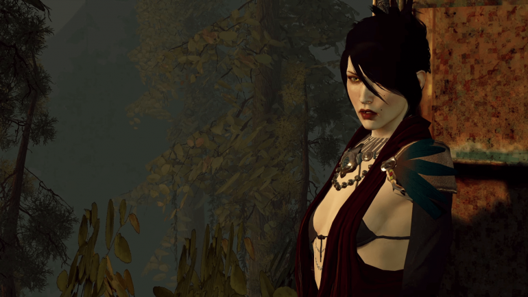 BioWare    Dragon Age. Electronic Arts  