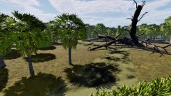  Steam     Pau e Pedra,    