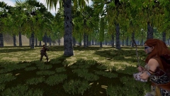  Steam     Pau e Pedra,    