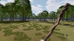  Steam     Pau e Pedra,    