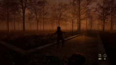  Steam     Pau e Pedra,    