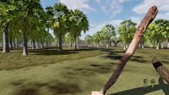  Steam     Pau e Pedra,    