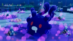 ������������ ������������� ��������� � �������� ������� NAMAKORIUM, � ������� ������� ������ ������� �����