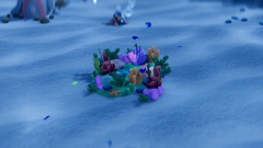 ������������ ������������� ��������� � �������� ������� NAMAKORIUM, � ������� ������� ������ ������� �����