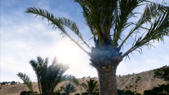   Badlands    DayZ   ,     