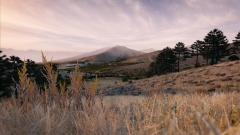   Badlands    DayZ   ,     