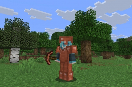  .     Minecraft.