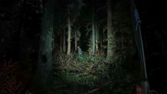  ,  .  Dying Light: The Beast    