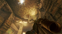 Gaijin         Active Matter