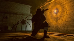 Gaijin         Active Matter