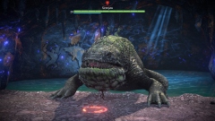 Godzilla x Kong: Titan Chasers   MMO        