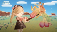 Petit Planet       Genshin Impact  Honkai Star Rail