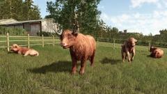  Farming Simulator 25       
