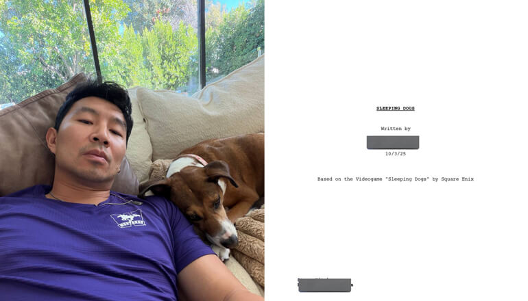 Фильм по Sleeping Dogs стал ближе к релизу Фильм по Sleeping Dogs стал ближе к релизу