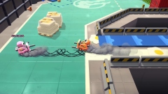   PEAK     Crashout Crew