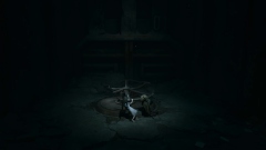    REANIMAL          Steam