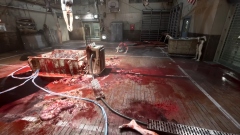   The Outlast Trials    PvP-   Dead by Daylight