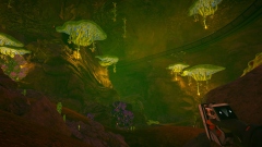    The Planet Crafter    Toxicity